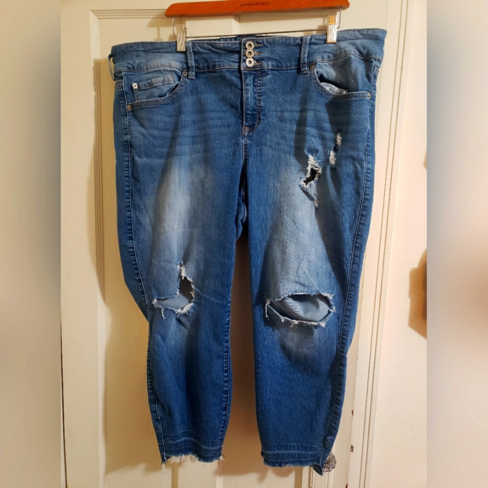 Torrid Premium Jean